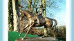 Harriet Glen (441) Stunning Bronze of Lady Riding Side-Saddle