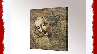 Head of a Young Woman with Tousled Hair Canvas Print by Leonardo da Vinci Framed Wall Art Picture