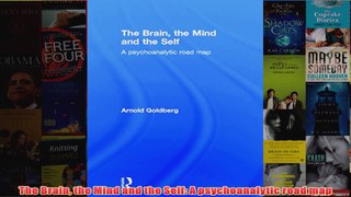 The Brain the Mind and the Self A psychoanalytic road map
