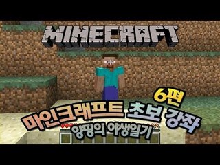 양띵 [마인크래프트 처음 하세요? 양띵의 마인크래프트 초보강의! 6편] 마인크래프트