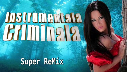 Instrumentala Criminala, Spet ReMix 2016