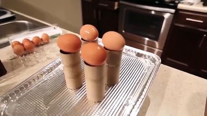 5 Eggs Challenges funny clips