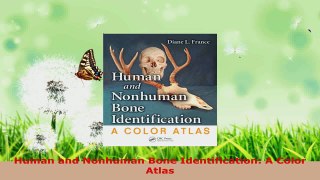 Read  Human and Nonhuman Bone Identification A Color Atlas Ebook Free