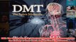 DMT The Spirit Molecule A Doctors Revolutionary Research into the Biology of NearDeath