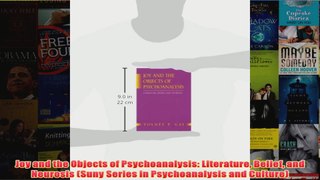 Joy and the Objects of Psychoanalysis Literature Belief and Neurosis Suny Series in