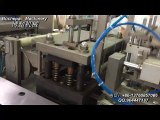 packing machine: light bulb blister welding machine,made in China