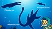 Les Ichthyosaures Les reptiles marins 3 Dessin ANM éducatif pour enfants vidéo