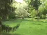 Arboretum-Lilac