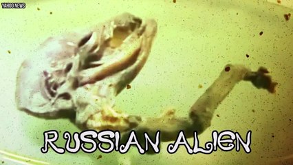 The Worst Black Friday Disasters Video