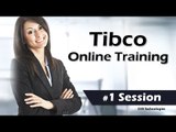 Tibco Online Training Videos - Free Demo Session