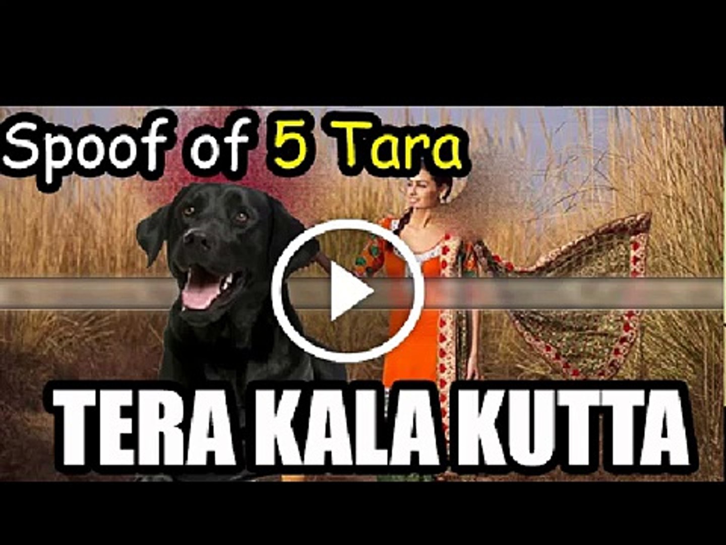 5 Taara Diljit Dosanjh Kala Kutta Funny Spoof Song by Happy Manila Punjabi  Song 2016 - video Dailymotion
