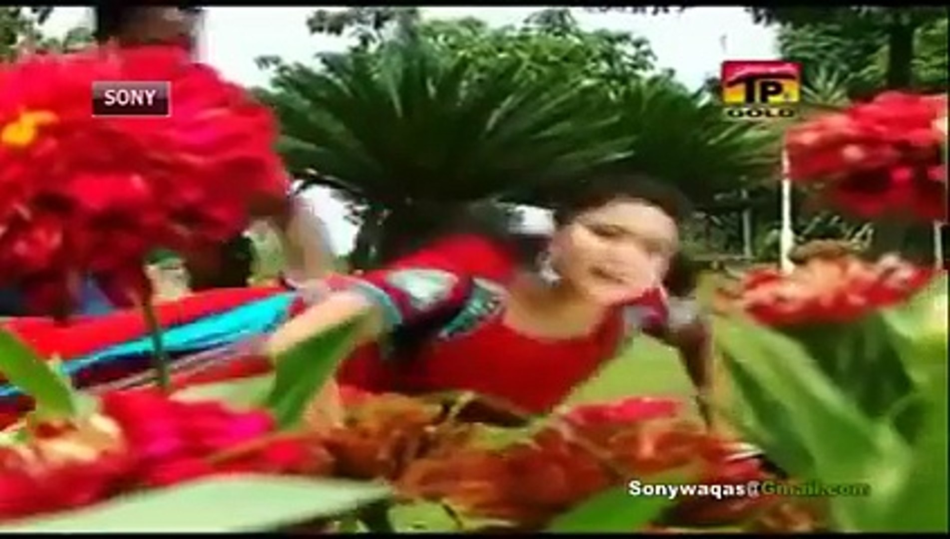 song dr.ayama khan (nayiweb