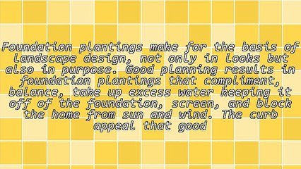 Evergreen Plants Make The Best Foundation Planting