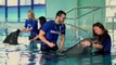 Dolphin Planet At Dubai Dolphinarium, Meet, Swim & Play With Dolphins!