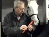 Miglior video di youtube CRAZY! Horse plays flute! Amazing animal performance! Music from nose!