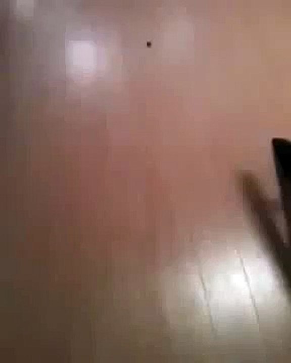 Youtube video divertenti Video divertenti Oh una caramella!