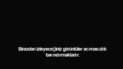 1 Nisan Şakası: Diş Macunlu Püskevit Yutturmaca!!