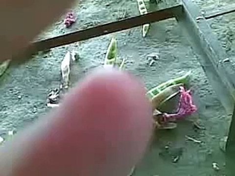 PATHAN FUNNY CLIPS NICE AND BEAUTIFUL