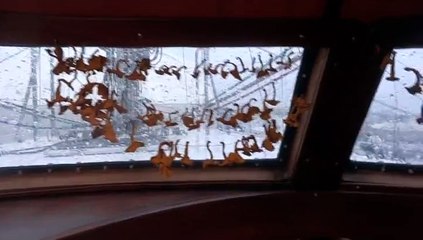 Tempete Hivernage Eliot Norvège Bodø 2015