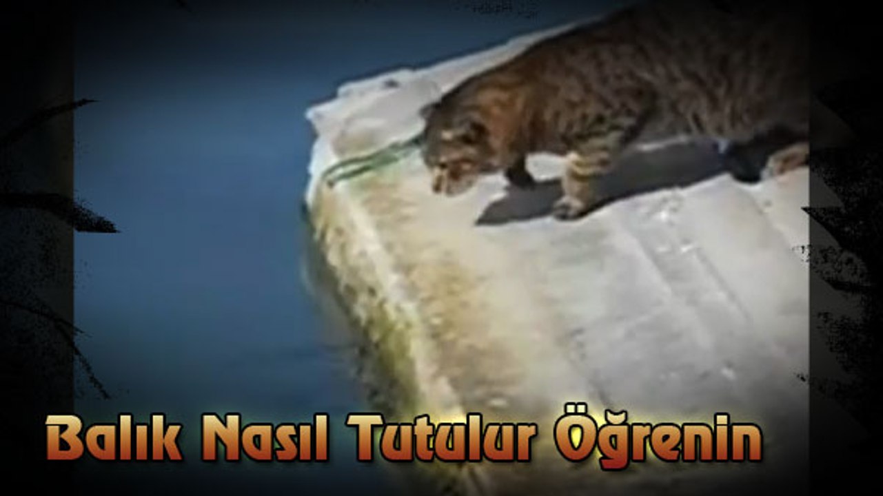 Balık Nasıl Tutulur