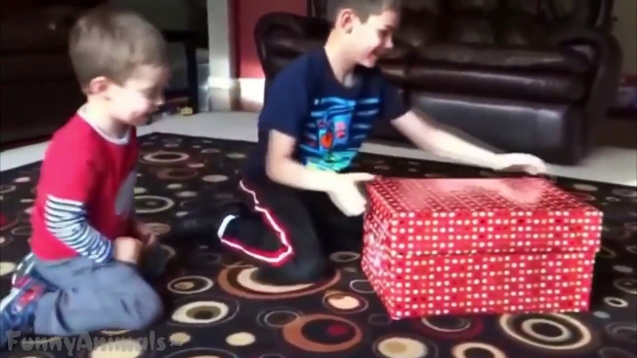 Christmas Puppy Surprise   Cute Christmas Compilation