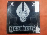 BORGHESIA.(N.U.D.(HOT TRASH MIX.)(12''.)(1989.)