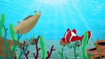 Kırmızı Balık | Kırmızı Balık Gölde | Kırmızı Balık Kaç Kaç | Edis ile Feri