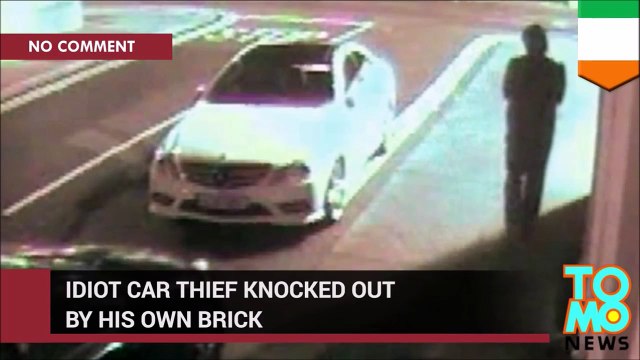 Car thief knocked out by his own brick