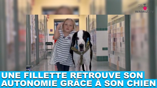 Une fillette retrouve son autonomie grâce à son chien ! L'histoire dans la minute chien #86