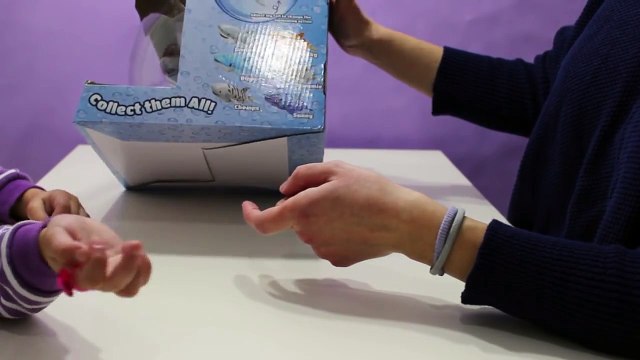 Tiburón de Juguete y Pecera con Peces de Colores y caballitos de Mar. En español.