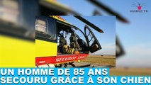 Un homme de 85 ans secouru grâce à son chien ! À suivre dans la minute chien #87