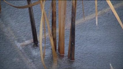 Kışın Kurak Geçtiği Konya Ovası'nda Kar Umudu