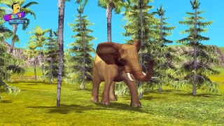 Finger Family Elephant Family Rhymes | Animals Cartoon Finger Family Rhymes for Children