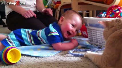 Cats, Dogs And Adorable Babies Compilation [NEW]