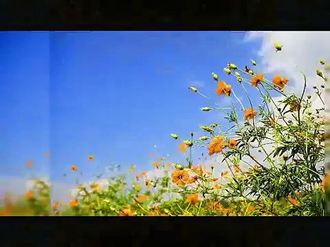 O Batas Amay Tumi Niye Jao Bangla Gojol 2015 New