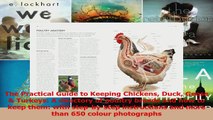 The Practical Guide to Keeping Chickens Duck Geese  Turkeys A directory of poultry Read Online