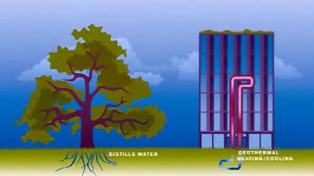 A Última Hora - Parte 2