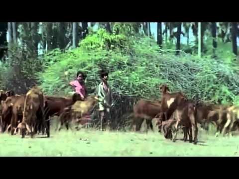 Thaisollum | Kana Kanden | Srikanth | Gopika | K.V.Anand