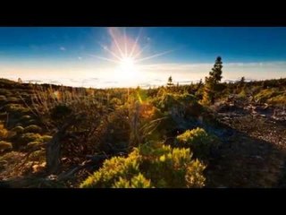 Ennodu Thangum Aandavaray Video | Thirumbi Vaa