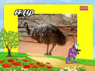 Tamil Bird Names 🐦