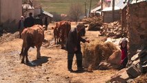 Kreditimi i bujqësisë, fond garancie për bankat që japin kredi - Top Channel Albania - News - Lajme