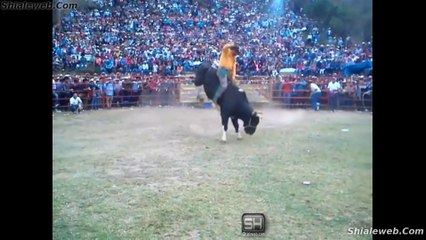 SUPER JARIPEO CON LOS TOROS DESTRUCTORES DE MEMO OCAMPO LA MEJOR Y MAS FAMOSA GANADERIA EN LA CANADA MUNICIPIO DE COENEO DICIEMBRE 2015