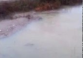 Creek Swells Over Banks Following Severe Weather in Cabot, Arkansas