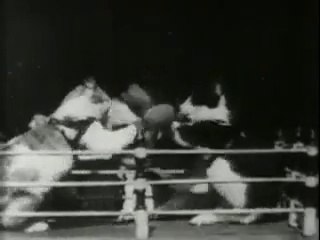 Боксирующие коты / The Boxing Cats -  1894