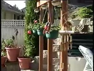 Back in your own backyard - Billie Holiday