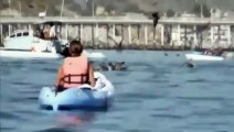 GIANT WHALE SCARES 2 KAYAKERS BY APPEARING FROM NOWHERE A FEW FEET AWAY