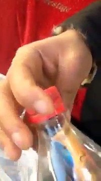 هذا السحر وجد في شواطىء مدينة سليمان من ولاية نابل