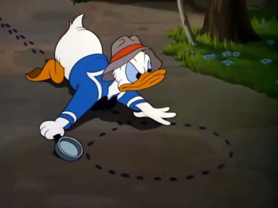 Donald duck cartoons episodes 47