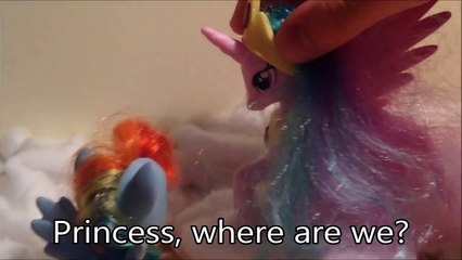 MLP How Rainbow Dash Becomes Alicorn (Toys Version)