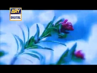 SARAY LA MAKAN SA TALAB Amir Liaquat